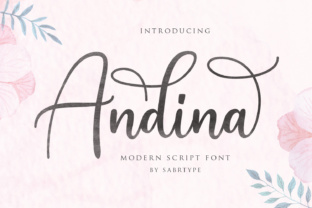 Andina Script: A Designer's Real-World Review