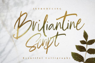 Briliantine Script: A Typeface for Polished Branding