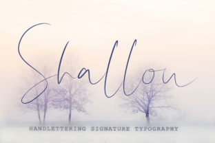 Shallou Script: A Feminine Typeface for Modern Branding