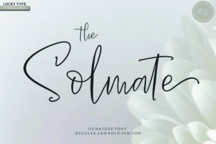 The Solmate Script: A Refined Typeface for Web Design