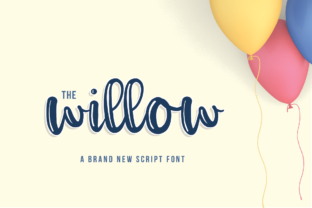 The Willow Script Typeface for Modern Branding